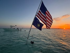 Sunset Cruise