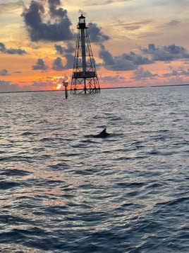 Sunset Cruise