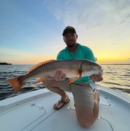 Inshore Fishing Trip