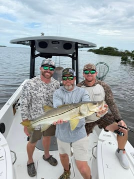 Inshore Fishing Trip