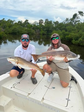 Inshore Fishing Trip