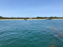 Dolphin & Wildlife Cruise