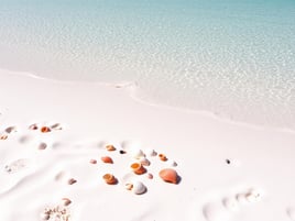 Shell Key Shelling Adventure