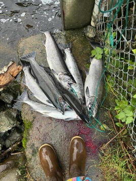 Fish On!!!
