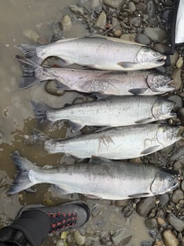Fish On!!!