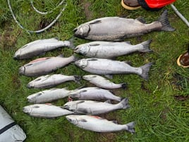 Fish On!!!