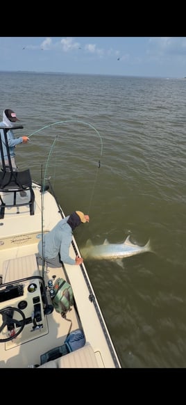 Half Day Charter 
