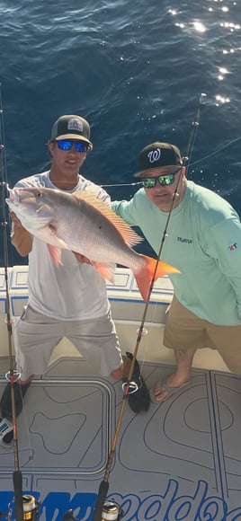 Nearshore & Reef Fishing Trip