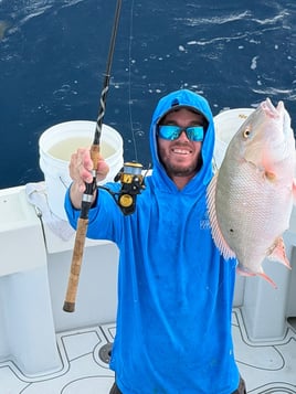 Nearshore & Reef Fishing Trip