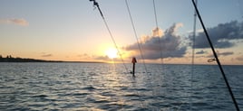 Sunset Cruise