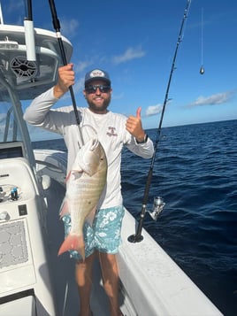 4-8 Hour Trip – Offshore 26'