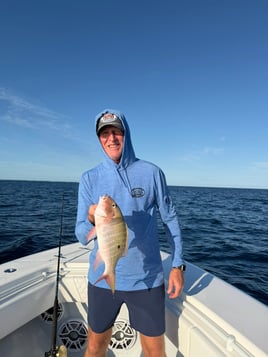 Reef Fishing
