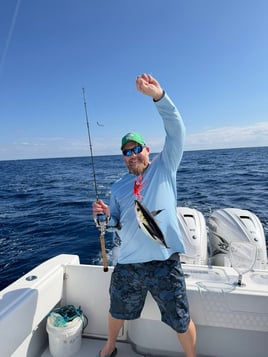 Reef Fishing