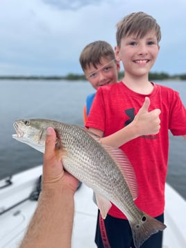 2-3 Hour Trip – Kids