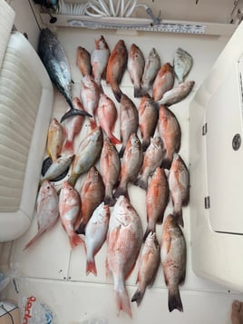 Offshore Fishing