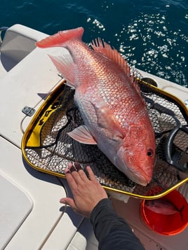 Offshore Fishing