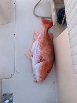 Offshore Fishing