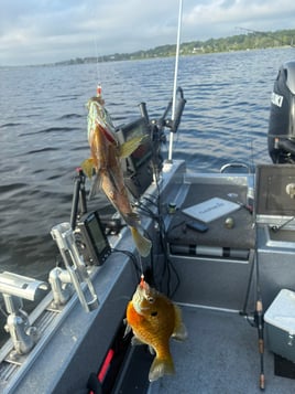 Panfish / Inland Lake Fishing
