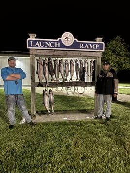 Half Day Trip – Salmon
