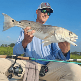 Inshore Fishing Trip