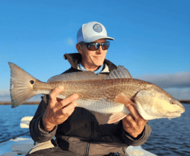 Inshore Fishing Trip