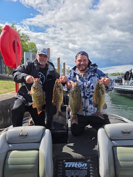 Smallmouth Bass Trip