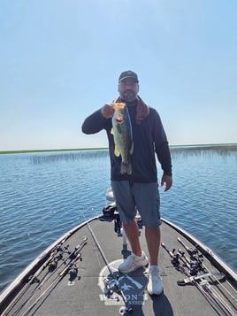Smallmouth Bass Trip