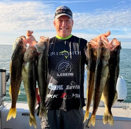 Lake Erie Walleye Fishing Trip
