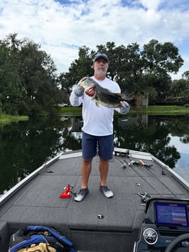 Toho Morning Bass Trip