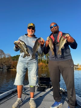 Toho Morning Bass Trip