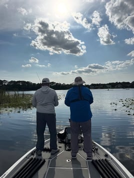 Toho Morning Bass Trip