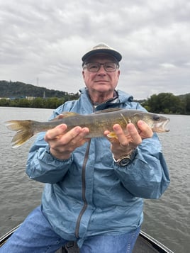 6 Hour Trip – Walleye 