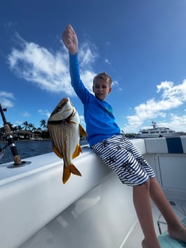 Inshore Fishing Trip