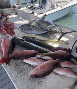 Offshore Fishing Adventure