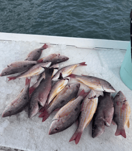 Offshore Fishing Adventure