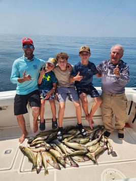 Lake Erie Walleye Trip