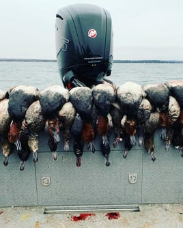 Layout Boat Duck Hunt