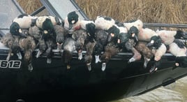 Layout Boat Duck Hunt
