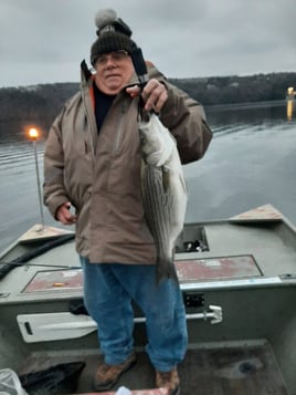 3-4 Hour Trip – Night Fishing