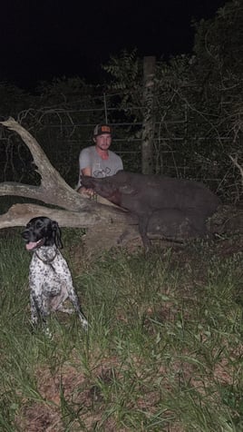 STX Hog Hunt