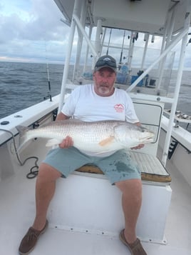 North Carolina Big Bull Reds!!