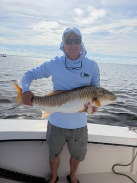 North Carolina Big Bull Reds!!