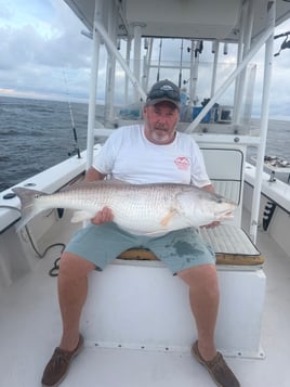 North Carolina Big Bull Reds!!