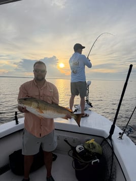North Carolina Big Bull Reds!!