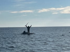 Guided Duck Hunting