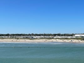 Dolphin, Wild Ponies, Shelling Tour