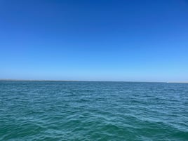 Dolphin, Wild Ponies, Shelling Tour