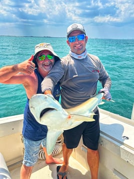 3 Hour Shark Trip