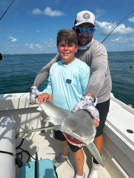 3 Hour Shark Trip