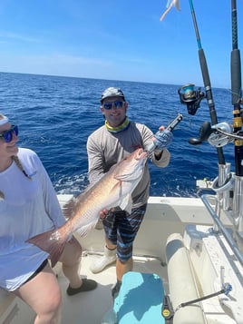 Offshore Fishing Trip